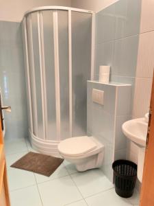 La salle de bains est pourvue d'une douche, de toilettes et d'un lavabo. dans l'établissement Vila Dětenice, à Dětenice