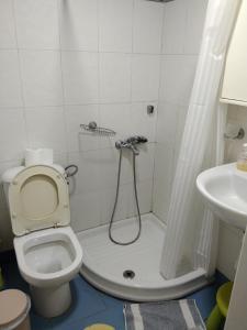 a bathroom with a shower with a toilet and a sink at ησυχες διακοπες in Kalamata
