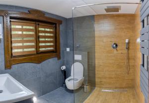 a bathroom with a shower and a toilet and a sink at Conacul Drahneilor in Ruscova