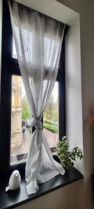 a window with a white curtain on a window sill at City center apartment in Sopron