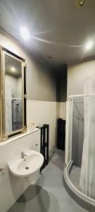 a bathroom with a sink and a mirror and a shower at City center apartment in Sopron