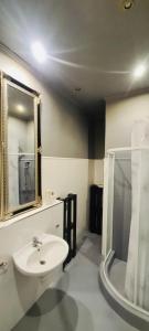 une salle de bain avec un lavabo, un miroir et une douche dans l'établissement City center apartment, à Sopron