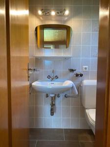 a bathroom with a sink and a toilet at Ferienwohnung Birkenheim in Fügenberg
