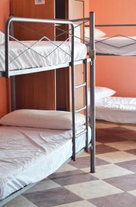 kilka łóżek piętrowych w pokoju w obiekcie Albergue Rojo Plata w mieście Torremegía