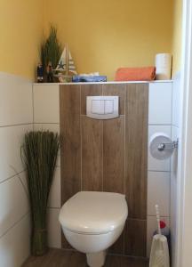 ヴィークにあるFerienhaus Brise - Schmugglerhusの棚付きのトイレがある浴室