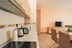 Kuchyň nebo kuchyňský kout v ubytování ApartHotel Belvedere Residence Becici Budva