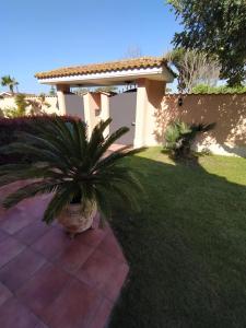 a potted plant sitting on a lawn in front of a house at Mattoni Nel Verde in Casal Palocco