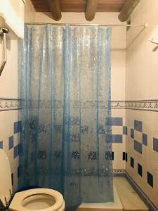 uma casa de banho com uma cortina de chuveiro azul e um WC. em Casa Mora em Encinasola