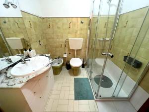 y baño con ducha, lavabo y aseo. en Apartamento da Fonte en Figueira da Foz