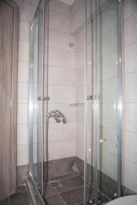 La salle de bains est pourvue d'une douche avec une porte en verre. dans l'établissement Sea View Frini Lefkada, à Leucade