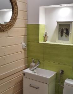 a bathroom with green walls and a toilet and a mirror at "PRZY PARKU" Dom nad morzem z werandą i ogrodem in Stegna
