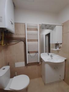 a bathroom with a white toilet and a sink at Soukromý pokoj v srdci Prahy in Prague