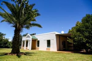 a palm tree in front of a white building at Landor Stud Farm Cottage in Magaliesburg