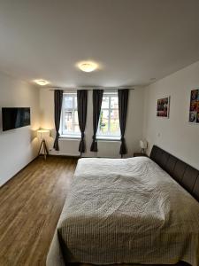 a bedroom with a large bed and two windows at Gallery Apartments in Liberec