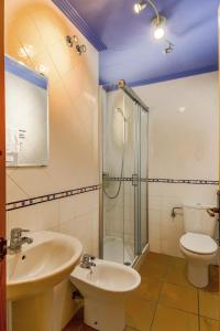 een badkamer met een wastafel, een toilet en een douche bij Barranco de la Olla in Arnedillo