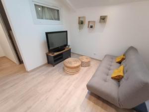 Televízia a/alebo spoločenská miestnosť v ubytovaní Cottage neuf - Forêt de Tronçais