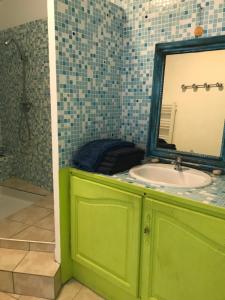 a green bathroom with a sink and a mirror at la Porte bleue in Capestang