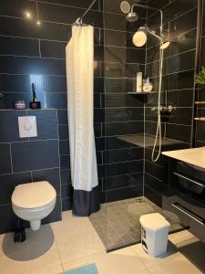 Varmi Guesthouse Apartments & rooms的一间浴室