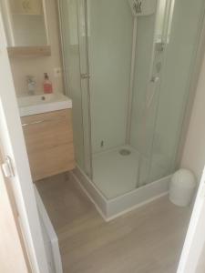 een badkamer met een douche en een wastafel bij Gîte Panda house in Villefranche-Sur-Cher