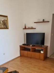 a living room with a flat screen tv on a wooden entertainment center at Apartment Danica in Ljubač