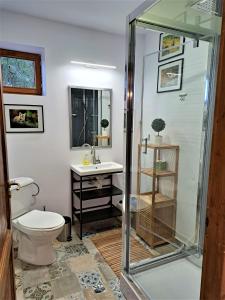 W łazience znajduje się prysznic, toaleta i umywalka. w obiekcie Hill Chalet w mieście Beliş