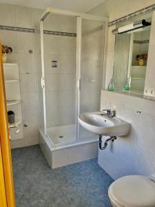 a bathroom with a shower and a sink and a toilet at Ferienhaus am Schilf Neeberg in Krummin