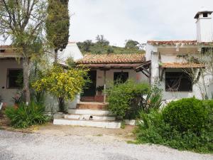 a white house with a dog sitting on the stairs at Cortijo El Berrocal in Cazalla de la Sierra