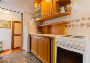 Kuhinja ili čajna kuhinja u objektu Atrium House - Netolice