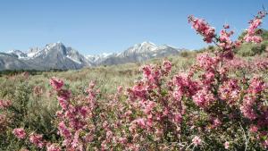 Paesaggio naturale nelle vicinanze dell'aparthotel