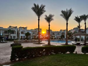 a group of palm trees in front of a building at Homie 1- master bedroom, pool and garden view in Sharm el Sheikh in Sharm El Sheikh