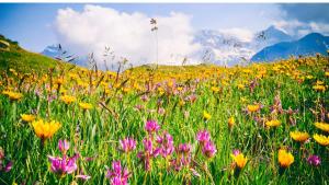Paesaggio naturale nelle vicinanze dell'hotel