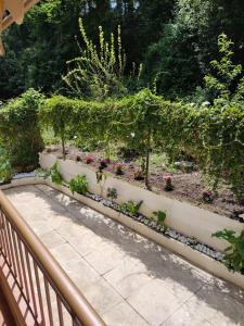 a garden with flowers and plants on a porch at Avanda Corfu in Corfu