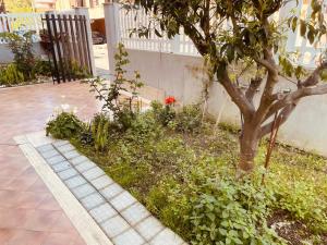 a tree in a garden next to a sidewalk at M&C Apartment in Fiumicino