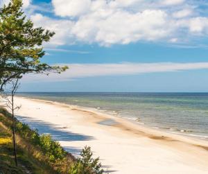 a beach with a tree and the ocean at Apartamenty Lambert Ustronie Morskie in Ustronie Morskie