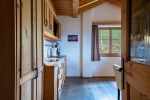 a kitchen with a sink and a window at Biohof Maurer Apt Bergblick in Laion