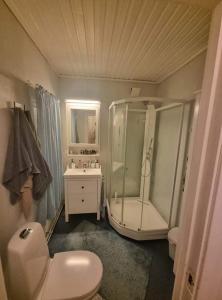 W łazience znajduje się prysznic, toaleta i umywalka. w obiekcie Hus i naturskjønne omgivelser w mieście Hopen