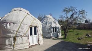 Gallery image of Yurt stay in downtown in Karakol