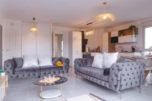 uma sala de estar com dois sofás e uma cozinha em Superbe appartement 2 chambres - parking gratuit em Bourg-en-Bresse