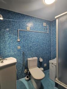a blue tiled bathroom with a toilet and a sink at Alta Guesthouse in Coimbra +15 photos