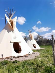 3 Zelte auf einem Feld mit blauem Himmel in der Unterkunft Teepee Camp Lounky in Chodouny