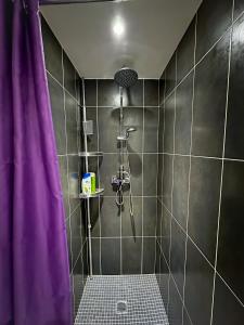 ein Bad mit einer Dusche mit einem lila Duschvorhang in der Unterkunft W27B - Alla Prima, Super villa au cœur de Giverny in Giverny
