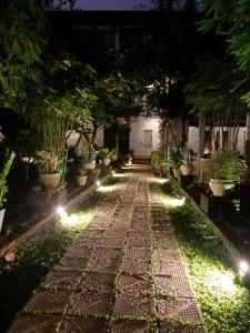 A garden outside Four Points Resort - Anuradhapura
