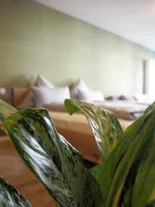una pianta verde in una stanza con un letto di Das Altschwabing - Munich Boutique Hotel a Monaco