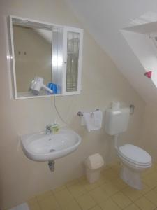 a white toilet sitting next to a sink in a bathroom at Hotel Pri Belokranjcu in Novo Mesto