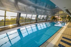 Bazén v ubytování Hotel Belweder nebo v jeho okolí