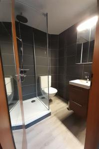 een badkamer met een toilet en een glazen douche bij Studio mansardé chez un vigneron au village in Villeneuve