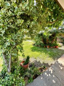 カルデードゥにあるJennas-Green Apartmentのギャラリーの写真