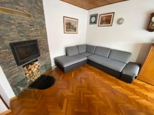 ein Wohnzimmer mit einem Sofa und einem Kamin in der Unterkunft Apartma Magnolija in Nova Gorica