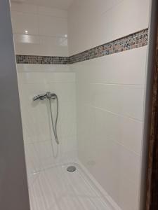 La salle de bains est pourvue d'une douche blanche avec un tuyau. dans l'établissement Bel appartement 2/4personnes, à Douzens