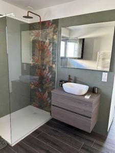 ein Bad mit einem Waschbecken und einer Dusche in der Unterkunft Maison les pieds dans l’eau in Ghisonaccia